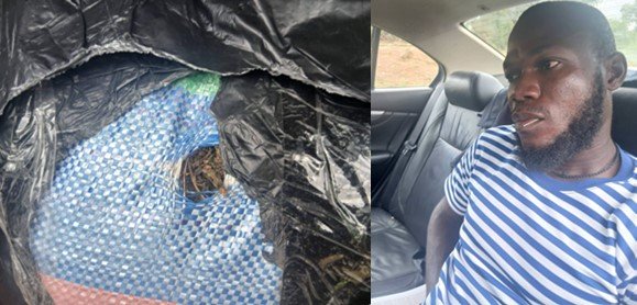 Taxi Driver Arrested