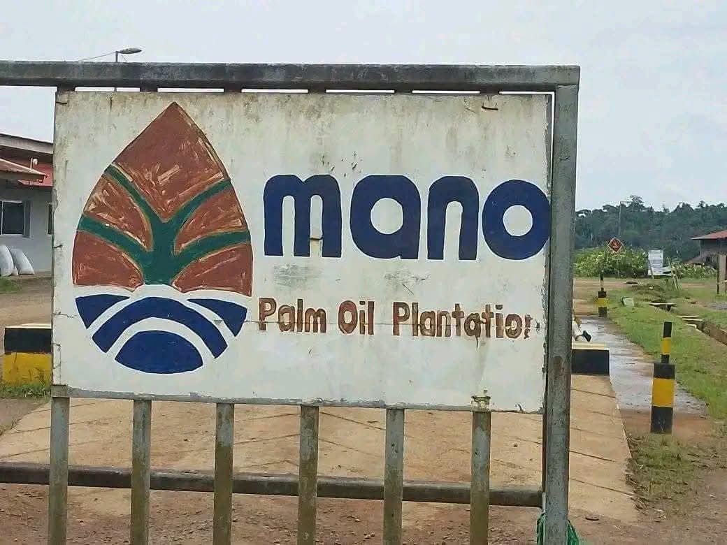 Court Rules Against